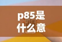 p85是什么意思