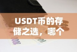 USDT币存储之选，哪个钱包更合适？