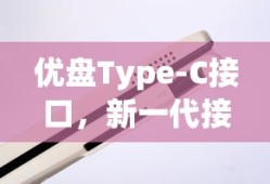 优盘Type-C接口，新一代接口技术的典范