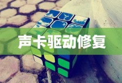 风掣红旗冻不翻，坚韧与不屈的深刻内涵