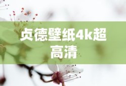 贞德壁纸4k超高清