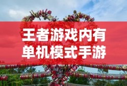浮沉子的原理探索
