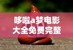 哆啦a梦电影大全免费完整版