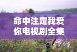 命中注定我爱你电视剧全集免费