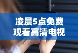 凌晨5点免费观看高清电视