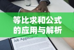 等比求和公式的应用与解析