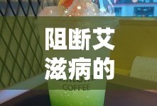 海岛大亨6
