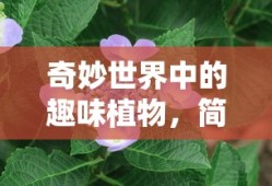 奇妙世界中的迷人植物简述