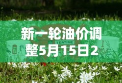 新一轮油价调整5月15日24时开启加油站
