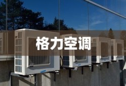 巨上龙体重