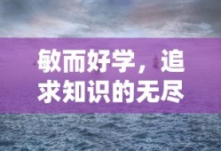 追求知识的无尽旅程，敏而好学的探索之旅