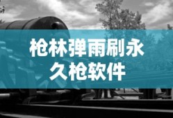 枪林弹雨刷永久枪软件