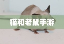 王源联合国演讲