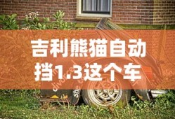 吉利熊猫自动挡1.3这个车怎么样
