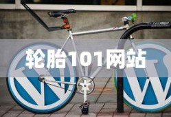 轮胎101网站