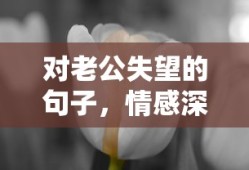 王兆玉简历