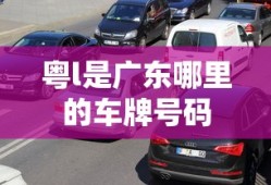 粤l是广东哪里的车牌号码