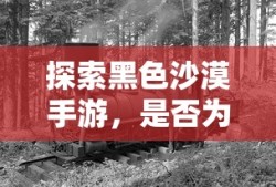 探索黑色沙漠手游，是否为坑？