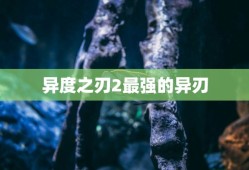 异度之刃2最强的异刃
