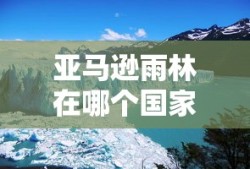 亚马逊雨林在哪个国家的