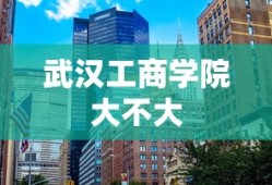武汉工商学院大不大