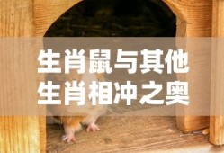 qq飞车手游改装技巧顺序
