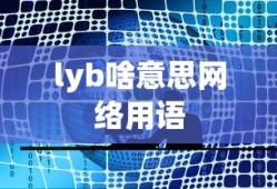 lyb啥意思网络用语