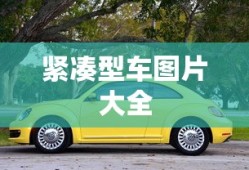 紧凑型车图片大全