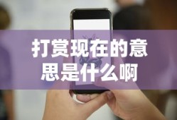 打赏现在的意思是什么啊