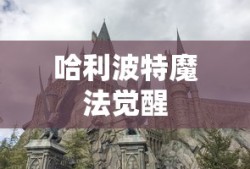 哈利波特魔法觉醒攻略大全，探索霍格沃茨的奥秘，哈利波特魔法觉醒攻略大全，探索霍格沃茨的奥秘与奥秘之门