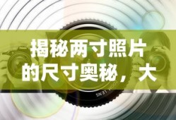 王权女王陛下攻略