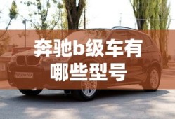 奔驰b级车有哪些型号
