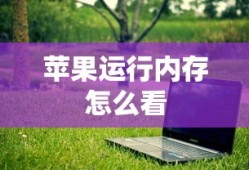 苹果运行内存怎么看