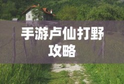 魔塔勇士，勇者的传奇之路