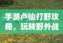 铃木奥拓新款