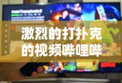激烈的打扑克的视频哔哩哔哩在线观看