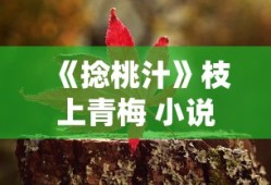 《捻桃汁》枝上青梅 小说