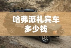 哈弗派礼宾车多少钱