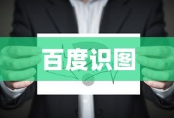 百度识图，探索智能图像识别的前沿科技