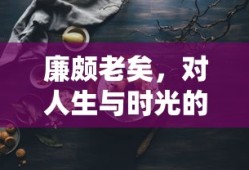 廉颇老矣，人生与时光的深刻诠释