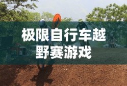 极限自行车越野赛游戏
