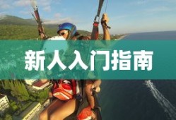 科林麦克雷拉力赛之尘埃3安卓版中文版破解版