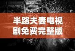 半路夫妻电视剧免费完整版观看半路夫妻第二部