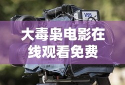 大毒枭电影在线观看免费