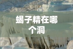 蝎子精在哪个洞
