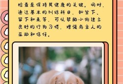 枪神纪激活码领取全攻略