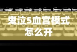 鬼泣5血宫模式怎么开