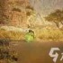 怪物猎人荒野全环境生物如何捕捉-怪物猎人荒野捕捉全环境生物攻略