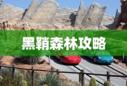 黑鞘森林攻略，探索神秘之地的完全指南，黑鞘森林完全攻略，探索神秘之地的终极指南