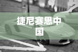 捷尼赛思中国